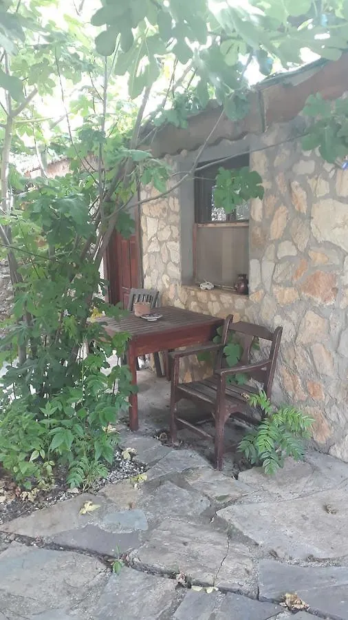 Hotel apartamentowy Levissihan Fethiye